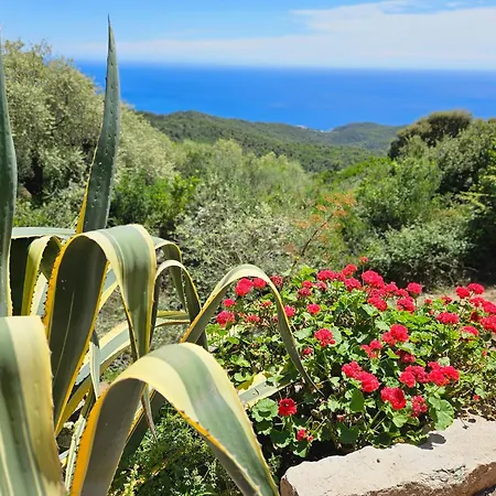 Sari- Vue Mer- Climatisation