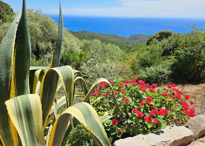 Sari- Vue Mer- Climatisation