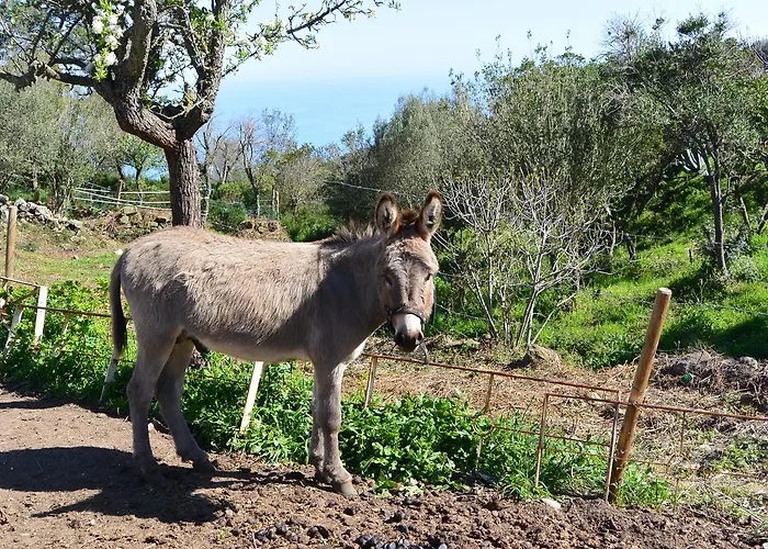 Sari- Vue Mer- Climatisation *